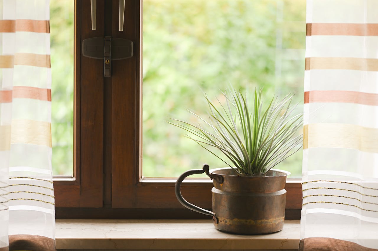Bright indoor scene with a potted plant on a window sill. Great for home decor inspiration.